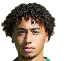 https://img.hndiheng.com/img/football/player/347a6d58ae7ec0425a4d42bc9215c411.png