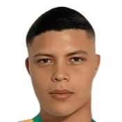 https://img.hndiheng.com/img/football/player/8307fea93e3800f40ad94ea9834fa234.png