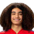 https://img.hndiheng.com/img/football/player/87359ed9061cfd73513d827263deebcd.png