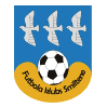 https://img.hndiheng.com/img/football/team/259a1106a33b56d2bb3c458a62ffa2ea.png