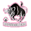 https://img.hndiheng.com/img/football/team/97c3ef30cac48cadff97605e387feefa.png