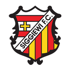 https://img.hndiheng.com/img/football/team/dd42fe52c603f2c781be199ae73b84dc.png